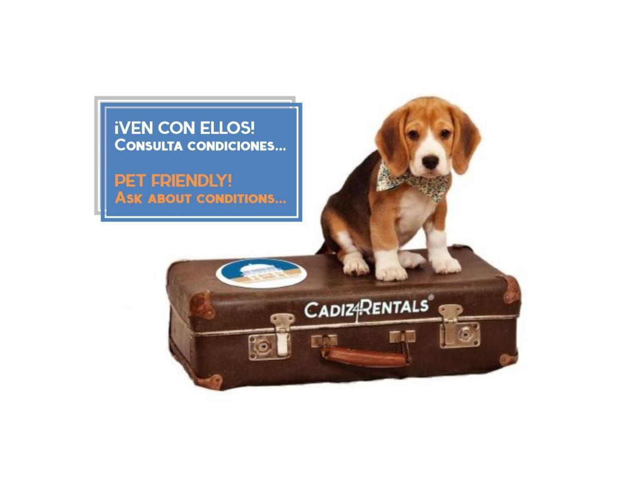 El Refugio Del Catedratico By Cadiz4Rentals (Adults Only) المظهر الخارجي الصورة